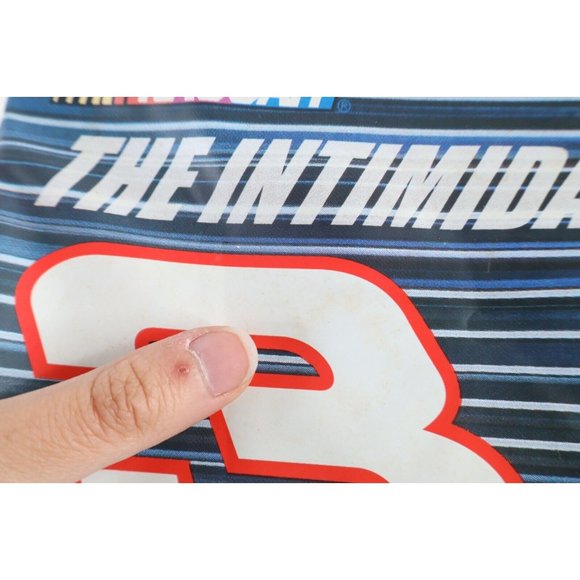 NOS Vintage NASCAR Dale Earnhardt Insulated Cooler Bag Lunch Box 12 Pack - Picture 8 of 12